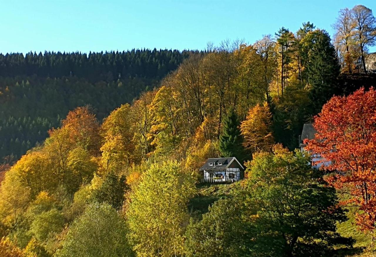 Villa Jagthaus am Rappelstein Schmallenberg Exterior foto